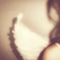 angelxiv